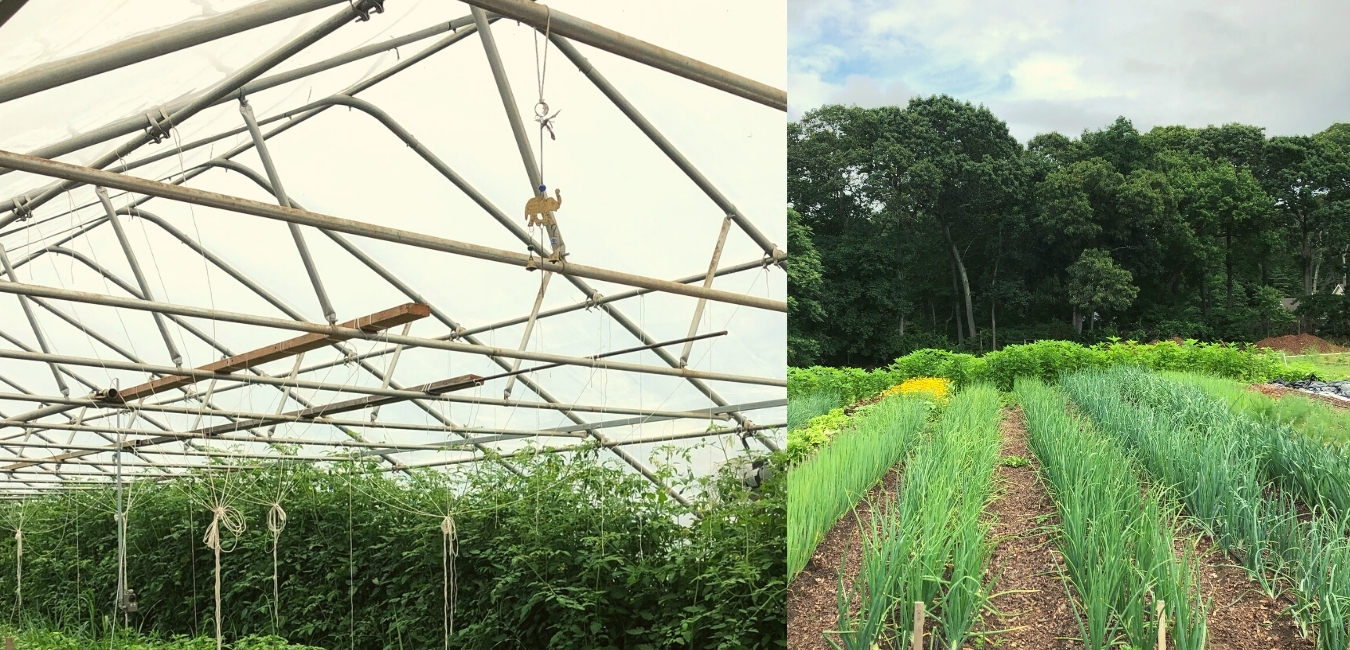 Treiber Farm 4